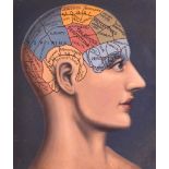 EUROPEAN SCHOOL (19TH CENTURY) AN UNUSUAL PHRENOLOGY HEAD STUDY contained within an ebonised