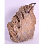 A VERY UNUSUAL LARGE NATURALISTIC MAMMOTH TOOTH well preserved with later iron swing handle. 12ins x