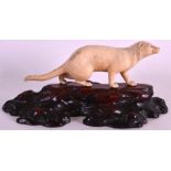 A RARE 19TH CENTURY JAPANESE MEIJI PERIOD CARVED IVORY OKIMONO modelled as an otter in a roaming