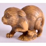 AN EARLY 20TH CENTURY JAPANESE MEIJI PERIOD CARVED STAINED IVORY NETSUKE modelled as a dog and toad.