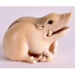 A FINE 19TH CENTURY JAPANESE MEIJI PERIOD CARVED IVORY NETSUKE depicting a boar with a snarling