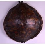 A 19TH CENTURY CARVED TORTOISESHELL (with wall hanging mounts) of naturalistic form. 1Ft 7ins x