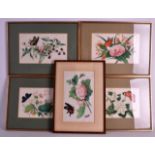CHINESE SCHOOL (19TH CENTURY) A SET OF FIVE FRAMED PITH PAPER WORKS depicting insects amongst bold