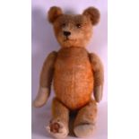 AN EDWARDIAN STRAW FILLED TEDDY BEAR. 1Ft 6ins high.