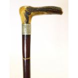 A VICTORIAN SWORD STICK, with stag antler handle, scroll decorated steel ferrule,  hard wood body,