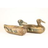 A PAIR OF DECOY MALLARD DUCKS, c.1910, naturalistically modelled and painted with glass eyes, leaded