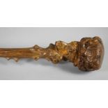 A VICTORIAN THORN WALKING STICK, the root grip carved as an animal head with glass eyes, 37 3/4"