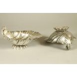 A PAIR OF CONTINENTAL WHITE METAL ESCALLOP SHELL DISHES, stamped 800, late 19th century, each with