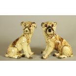 A MATCHED PAIR OF CONTINENTAL CREAMWARE SLIP CAST MODELS OF PUGS, c.1900, seated with free