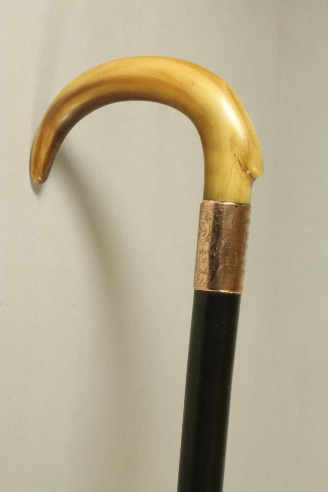 AN EDWARDIAN EBONY WALKING STICK, with polished horn handle, the 9ct gold wide ferrule bright cut