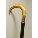 AN EDWARDIAN EBONY WALKING STICK, with polished horn handle, the 9ct gold wide ferrule bright cut