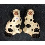 Pair of Staffordshire dogs with Disraeli curls 16 cms high