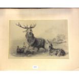 Good pencil sketch of stag at bay indistintly signed