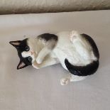 Royal Worcester figure a black and white kitty