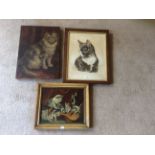 Three various paintings of cats