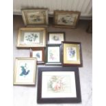 Nine various framed botanical prints