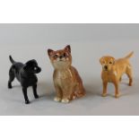 Beswick, two small Labrador dogs (brown and black), a Beswick cat, tallest 9.5cm (cat), and other