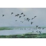 Peter Scott, two coloured prints, pintail on a hazy day and ducks on a hazy day, both signed in