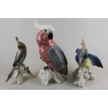 A Beswick model of a parakeet in pink and grey plumage, 28cm, and two German porcelain models of