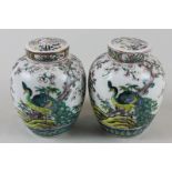 A pair of Chinese porcelain ginger jars with lids and covers, decorated with peacocks amongst