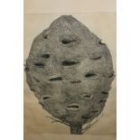 Vila Memuna Bogdanich, Australian, fruit seed pod, etching, inscribed, signed and dated in pencil