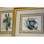 19th century, set of six studies of flowers (a/f), 72cm by 16cm, ,and three other flower studies,