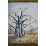 Irene Duggan, 20th century, baobab tree, oil on board, signed and dated 1985, 45cm by 41cm