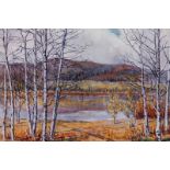 M Worsley, early 20th century, watercolour, landscape through silver birch trees, signed, 36cm by