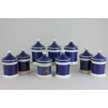 A set of nine apothecary jars and covers, some with part labels, 14cm high, (a/f)