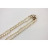 A two row cultured pearl necklace on a gold and pearl clasp