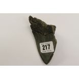 Megalodon shark tooth with dark enamel. 4½".