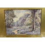 William R Burrow watercolour, Woodland Study. Framed & glazed. 9ins. x 6ins.