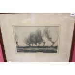 Scottish art: George Graham watercolour on paper 'Trees', Royal Scottish Society label on reverse,