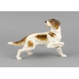 Hund, Hutschenreuther, Selb, Marke 1887-1920, laufender Setter, braun staffiert inUnterglasurfarben,