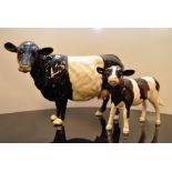 BESWICK BELTED GALLOWAY COW NO. 4113A AN