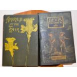 BOOK - AMARYLLIS AT THE FAIR 1887 1ST ED