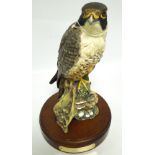 A DOULTON MODEL OF A PEREGRINE FALCON LI