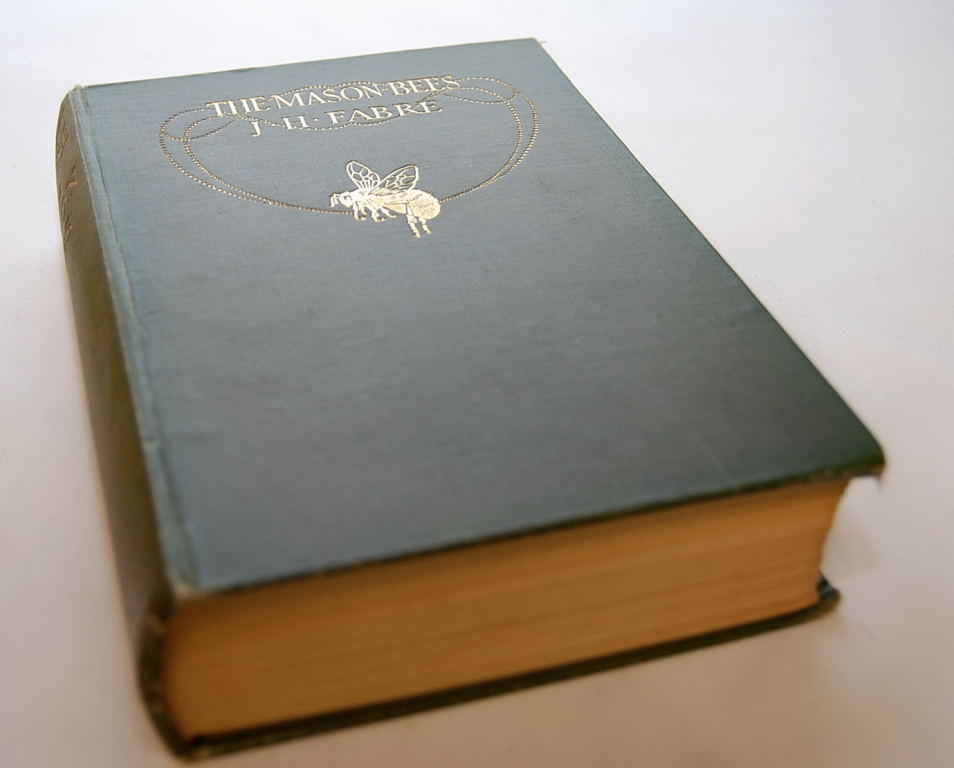 8 FIRST EDITION NATURAL HISTORY BOOKS IN - Image 7 of 9