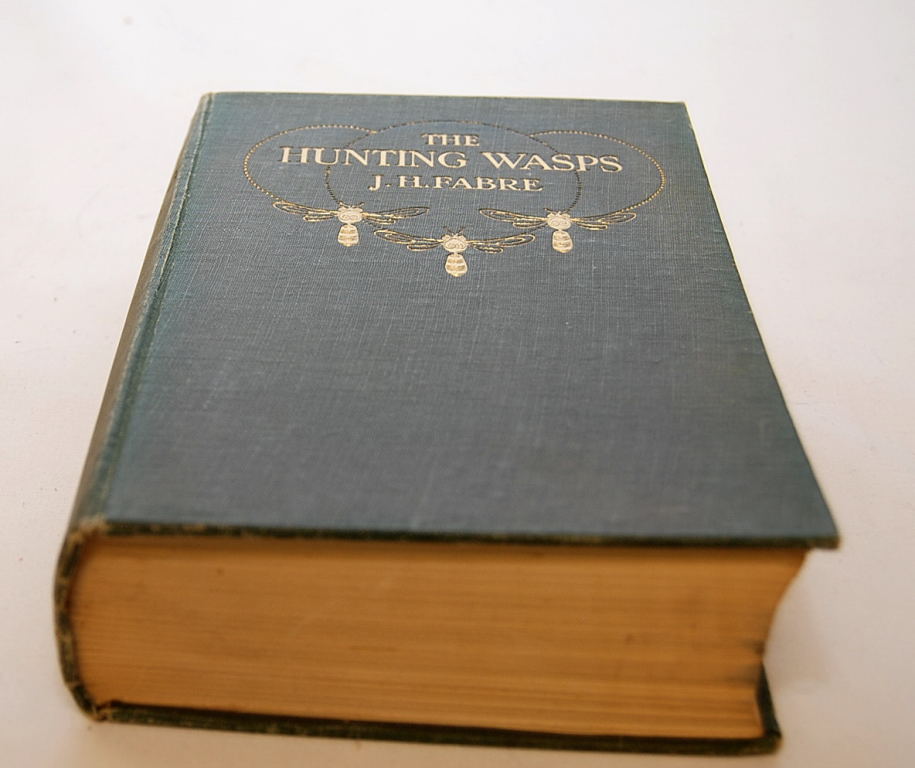 8 FIRST EDITION NATURAL HISTORY BOOKS IN - Image 6 of 9