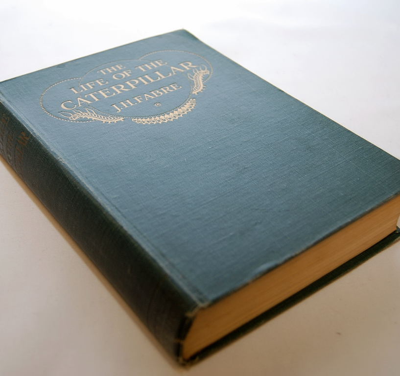 8 FIRST EDITION NATURAL HISTORY BOOKS IN - Image 4 of 9