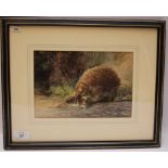 WATERCOLOUR "HEDGEHOG AND SHREW" BEARING SIGNATURE