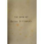 W J Lucas - The Book of British Butterflies - published Upcott Gill, 1893, W J Lucas library