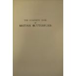 F W Frohawk - The Complete Book of British Butterflies, published by Ward, Lock & Co Ltd, 1934