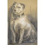 Late 19th/early 20th century school - pair of unsigned oval pencil drawings of dogs, heightened with