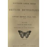 Edward Newman - Natural History of British Butterflies, published by William Tweedie, London 1871,