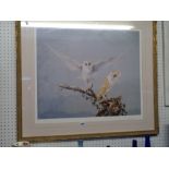 Ornate Gilt framed limited edition print of Barn Owls by Spencer Hodge