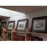 Set of 4 Coloured prints of Fish mounted and framed