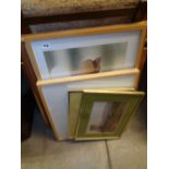 Collection of 20thC Framed prints