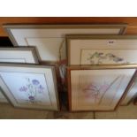6 framed watercolours of floral still life by Sarah Welch