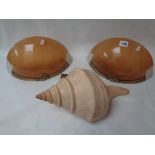 Pair of Art Deco Amber opaque glass wall lights with brass shell decoration and a Conch Shell wall